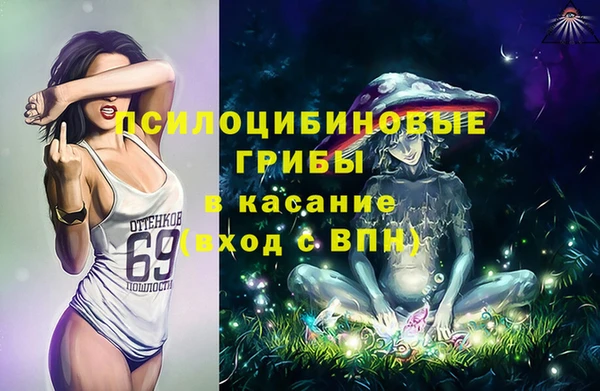 2c-b Аркадак