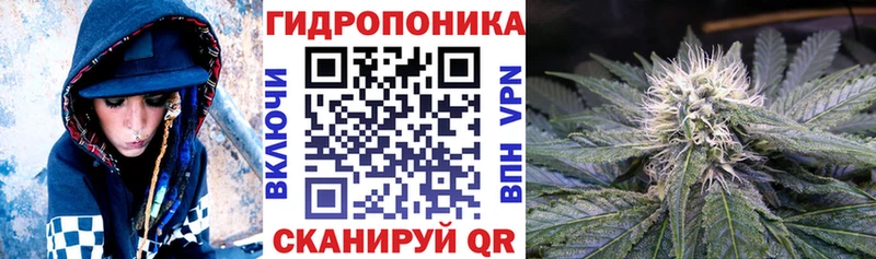 Шишки марихуана AK-47  что такое наркотик  ссылка на мегу маркетплейс  Волгоград 
